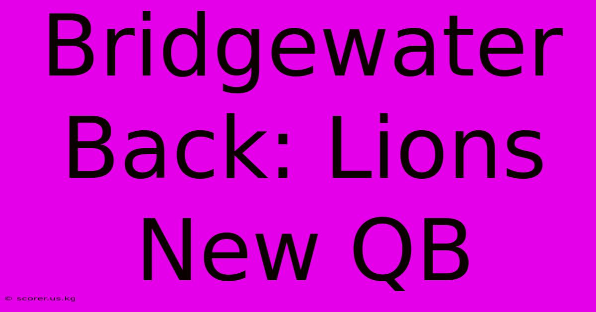 Bridgewater Back: Lions New QB